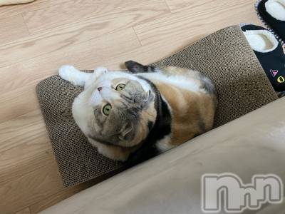 ��Ʋ����Х��顦����֥���ֲڲСݣȣ��Σ��£ɡ�(����֥ϥʥ�) �����2��22���̥�֥�����2��22�� 13��20ʬ�μ̥�֥�����