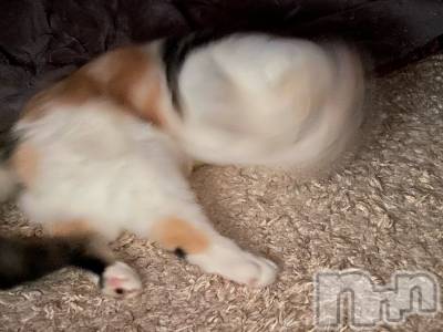 ��Ʋ����Х��顦����֥���ֲڲСݣȣ��Σ��£ɡ�(����֥ϥʥ�) �����2��26���̥�֥�����2��26�� 14��28ʬ�μ̥�֥�����