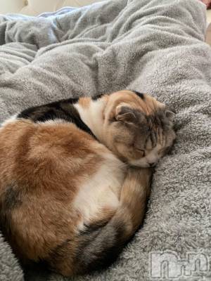 ��Ʋ����Х��顦����֥���ֲڲСݣȣ��Σ��£ɡ�(����֥ϥʥ�) �����3��2���̥�֥�����3��2�� 14��21ʬ�μ̥�֥�����