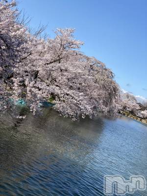 ��Ʋ����Х��顦����֥���ֲڲСݣȣ��Σ��£ɡ�(����֥ϥʥ�) �����3��4���̥�֥�����3��4�� 18��36ʬ�μ̥�֥�����