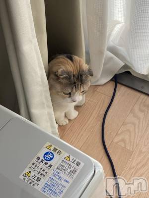 ��Ʋ����Х��顦����֥���ֲڲСݣȣ��Σ��£ɡ�(����֥ϥʥ�) �����4��1���̥�֥�����4��1�� 12��54ʬ�μ̥�֥�����