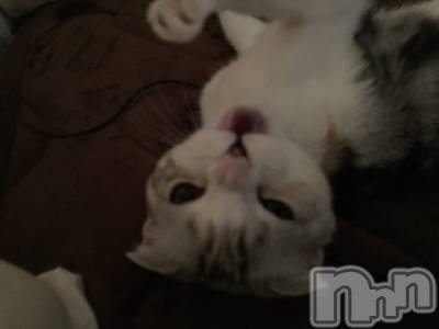 ��Ʋ����Х��顦����֥���ֲڲСݣȣ��Σ��£ɡ�(����֥ϥʥ�) �����4��4���̥�֥�����4��4�� 20��21ʬ�μ̥�֥�����