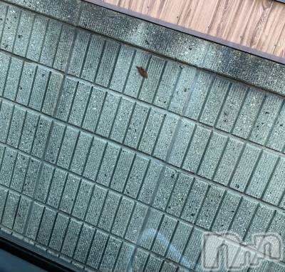 ��Ʋ����Х��顦����֥���ֲڲСݣȣ��Σ��£ɡ�(����֥ϥʥ�) �����4��10���̥�֥�����4��10�� 17��22ʬ�μ̥�֥�����