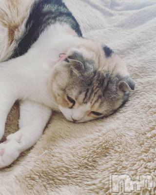 ��Ʋ����Х��顦����֥���ֲڲСݣȣ��Σ��£ɡ�(����֥ϥʥ�) �����4��14���̥�֥�����4��14�� 20��02ʬ�μ̥�֥�����