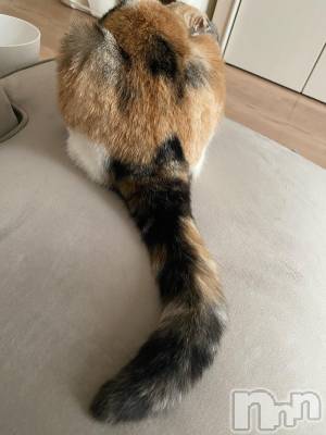 ��Ʋ����Х��顦����֥���ֲڲСݣȣ��Σ��£ɡ�(����֥ϥʥ�) �����4��15���̥�֥�����4��15�� 20��00ʬ�μ̥�֥�����