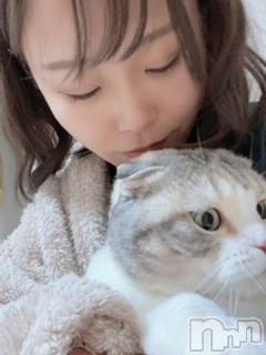 ��Ʋ����Х��顦����֥���ֲڲСݣȣ��Σ��£ɡ�(����֥ϥʥ�) �����4��20���̥�֥�����4��20�� 19��57ʬ�μ̥�֥�����