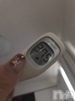 ��Ʋ����Х��顦����֥���ֲڲСݣȣ��Σ��£ɡ�(����֥ϥʥ�) �����4��26���̥�֥�����4��26�� 14��58ʬ�μ̥�֥�����