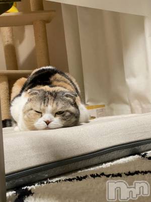 ��Ʋ����Х��顦����֥���ֲڲСݣȣ��Σ��£ɡ�(����֥ϥʥ�) �����5��4���̥�֥�����5��4�� 20��00ʬ�μ̥�֥�����