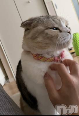 ��Ʋ����Х��顦����֥���ֲڲСݣȣ��Σ��£ɡ�(����֥ϥʥ�) �����5��13���̥�֥�����5��13�� 19��58ʬ�μ̥�֥�����