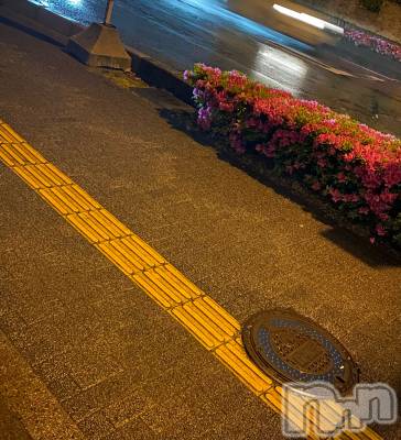 ��Ʋ����Х��顦����֥���ֲڲСݣȣ��Σ��£ɡ�(����֥ϥʥ�) �����5��21���̥�֥�����5��21�� 20��01ʬ�μ̥�֥�����