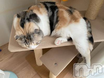 ��Ʋ����Х��顦����֥���ֲڲСݣȣ��Σ��£ɡ�(����֥ϥʥ�) �����6��26���̥�֥�����6��26�� 21��06ʬ�μ̥�֥�����