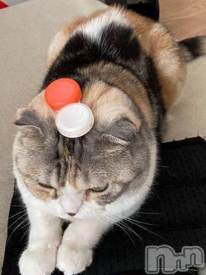 ƲХ顦ֲ֥ڲСݣȣΣ£ɡ(֥ϥʥ) 91̥֥91 1340ʬμ̥֥