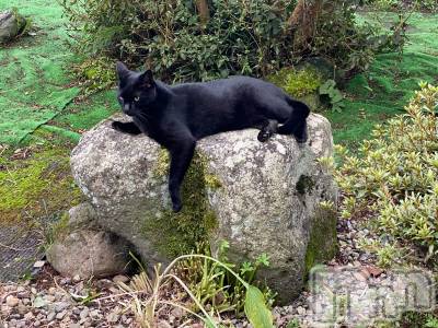 ƲХ顦ֲ֥ڲСݣȣΣ£ɡ(֥ϥʥ) 95̥֥95 0004ʬμ̥֥