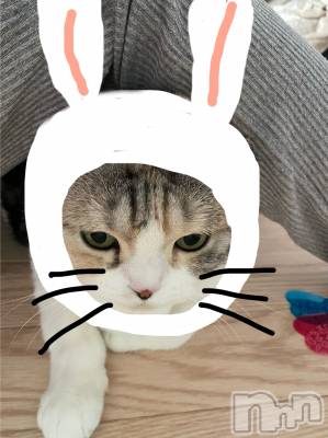 ƲХ顦ֲ֥ڲСݣȣΣ£ɡ(֥ϥʥ) 11̥֥11 1646ʬμ̥֥