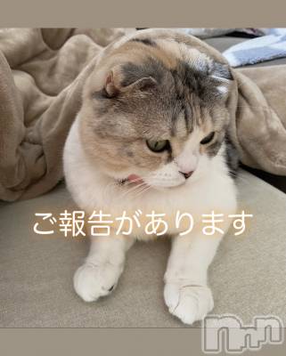 ƲХ顦ֲ֥ڲСݣȣΣ£ɡ(֥ϥʥ) 34̥֥34 1701ʬμ̥֥