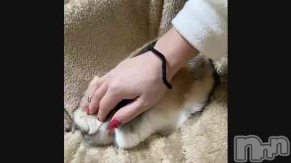 25 1200ʬư