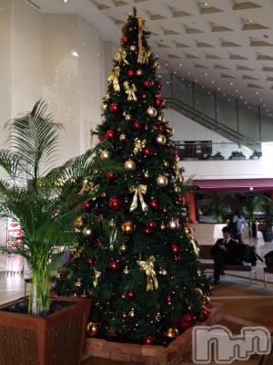 ƲХ顦THE LOUNGE (饦󥸥ե) ߤʤ1214̥֥1214 2131ʬμ̥֥
