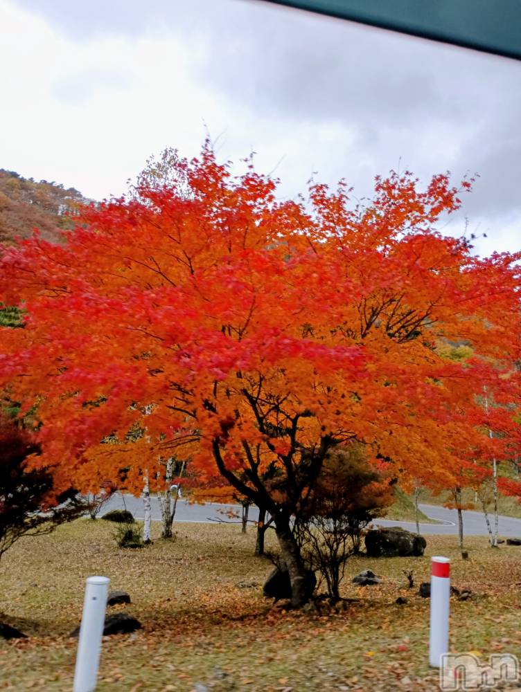 ĮХ顦club Diana(֥ǥ) 顡Ƥ112ֹ̥֥ա