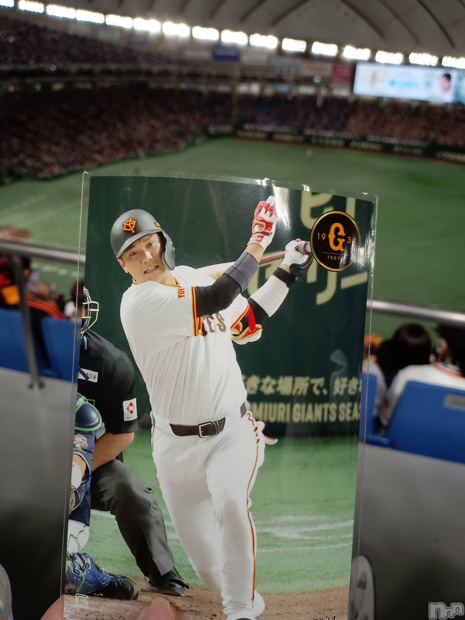 ĮХ顦club Diana(֥ǥ) 2024ǯ916̥֥ͥ