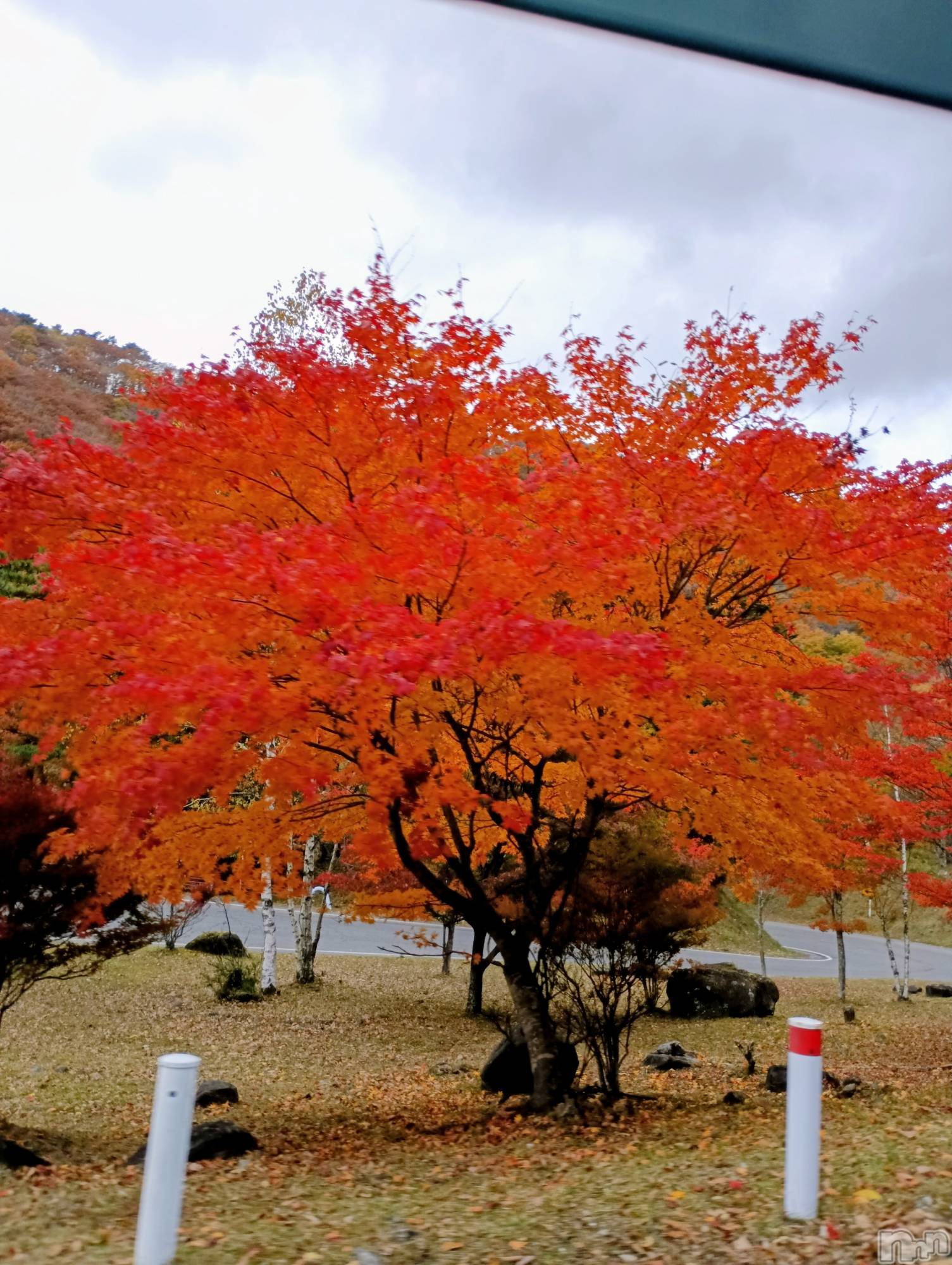 ĮХ顦club Diana(֥ǥ) 2025ǯ112ֹ̥֥ա