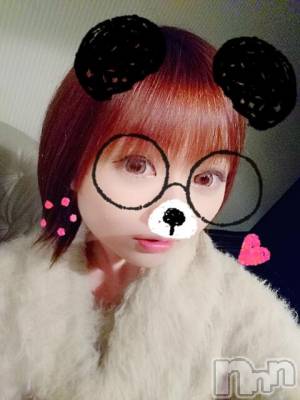 ĮХ顦club Diana(֥ǥ) 顡Ƥ1227ֺ̥֥ǯǸΡ