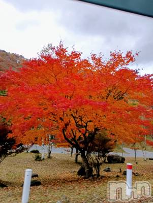 ĮХ顦club Diana(֥ǥ) 顡Ƥ112ֹ̥֥ա