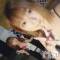 ĮХ顦club Diana(֥ǥ) 顡Ƥ726ָ̥֥Ƥޤä