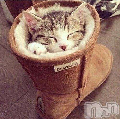 上越デリヘル上越風俗出張アロママッサージ(ジョウエツフウゾクシュッチョウアロママッサージ) みれい☆ロリカワ(24)の7月16日写メブログ「はじめまして(^o^)/昨日のお礼です♪」