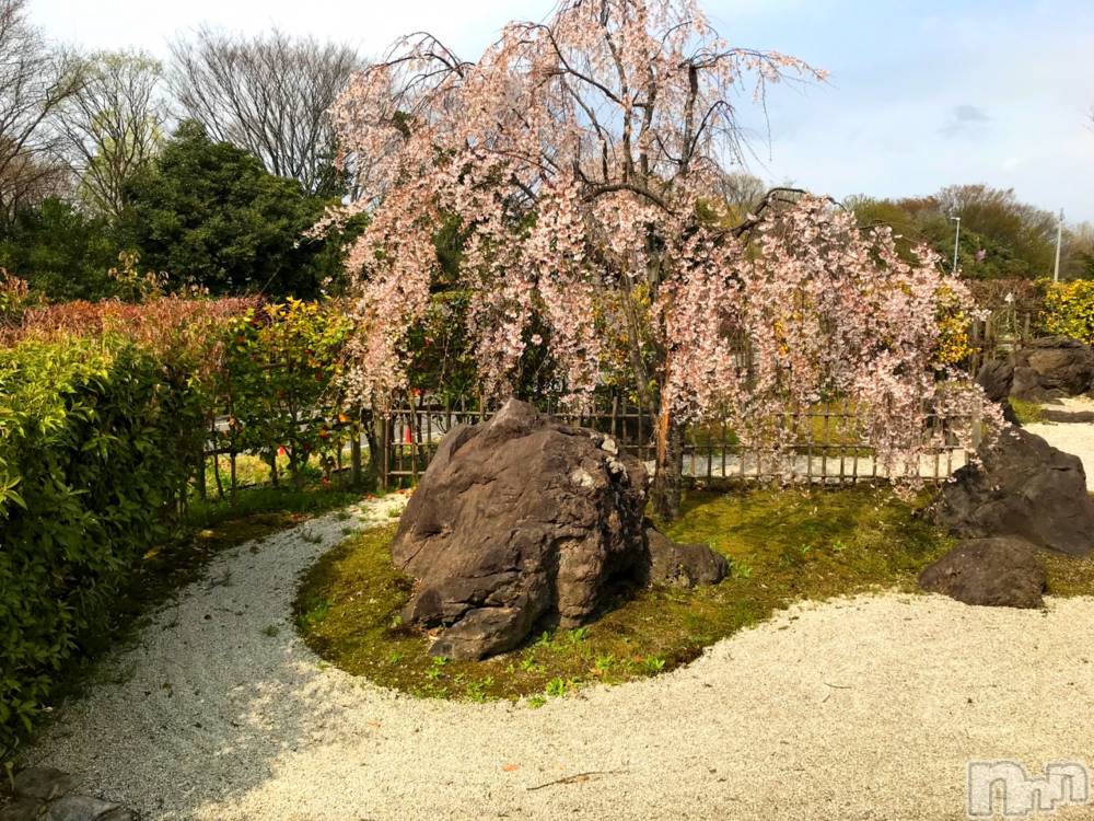 新潟風俗エステGRACE　新潟(グレース　ニイガタ) 水橋(32)の1月12日写メブログ「🌸」
