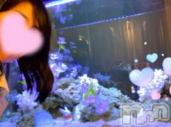 新潟デリヘルGRACE　新潟(グレース　ニイガタ) 水橋(33)の4月18日写メブログ「🌸と🐰」