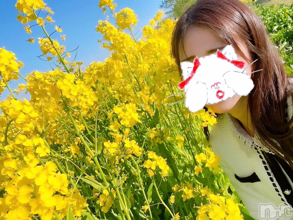 新潟人妻デリヘルLOVE AFFAIR～秘密のデート(ラブアフェア～ヒミツノデート) 美雪さん【♪♪♪】(35)の4月19日写メブログ「ファスティング3日間達成！！*.+ﾟ」