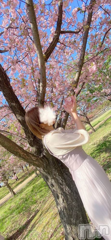 新潟人妻デリヘルLOVE AFFAIR～秘密のデート(ラブアフェア～ヒミツノデート) 美雪さん【♪♪♪】(35)の5月1日写メブログ「㊗️❣️４月✨全枠完売❤️‍🔥でした(  *´ω`*  )/🎉🎉🎉🎉･:*:･｡」