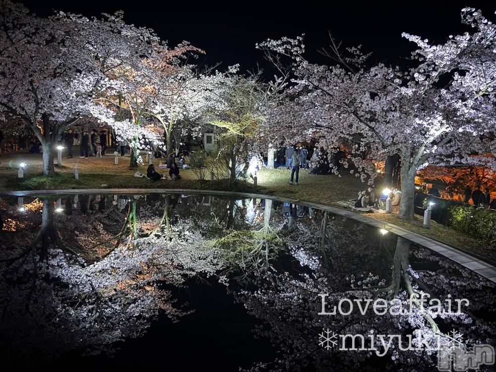 新潟デリヘルLOVE AFFAIR～秘密のデート(ラブアフェア～ヒミツノデート) 美雪さん【♪♪♪】(35)の4月9日写メブログ「夜桜もいいねぇ～🌸☺️」