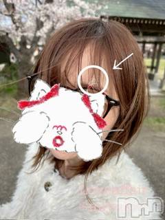 新潟デリヘルLOVE AFFAIR～秘密のデート(ラブアフェア～ヒミツノデート) 美雪さん【♪♪♪】(35)の4月10日写メブログ「4月の出勤カレンダー今日の夜くらいに…🌸」