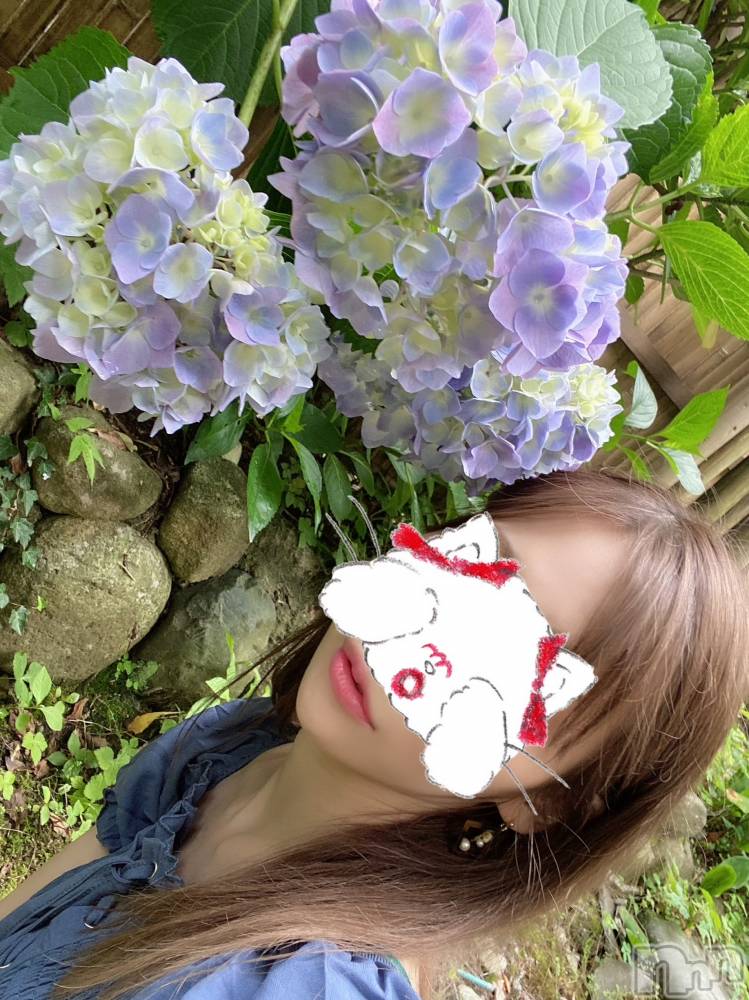 新潟人妻デリヘルLOVE AFFAIR～秘密のデート(ラブアフェア～ヒミツノデート) 美雪さん【♪♪♪】(35)の6月26日写メブログ「昨日もありがとうございました‎(◍˃ ᵕ ˂◍)♡」