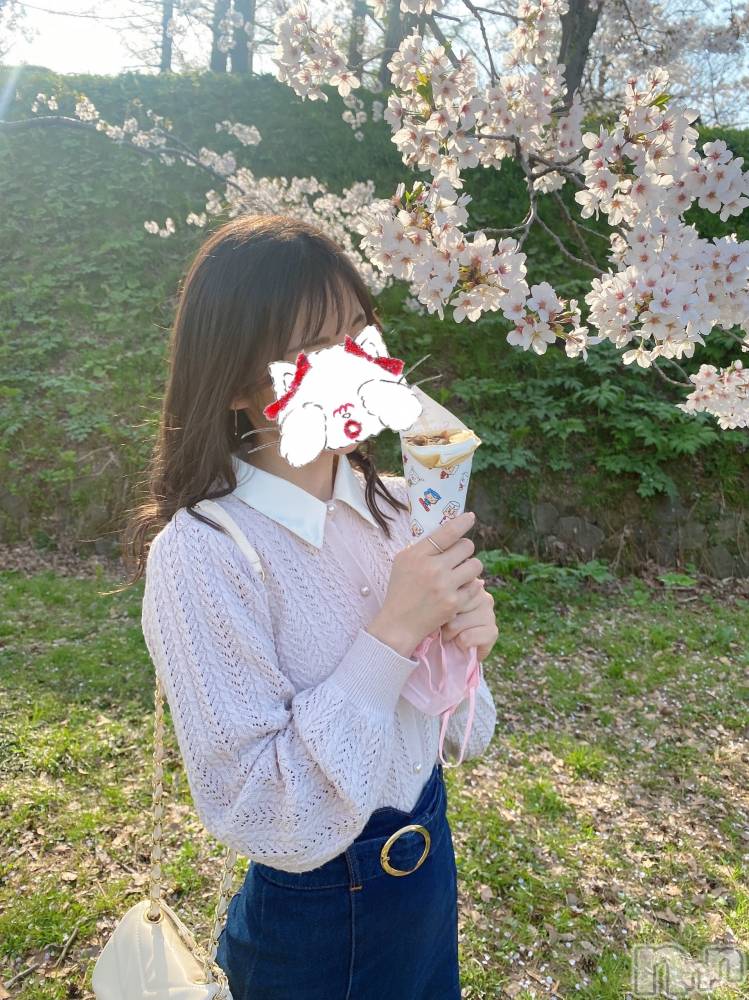 新潟人妻デリヘルLOVE AFFAIR～秘密のデート(ラブアフェア～ヒミツノデート) 美雪さん【♪♪♪】(35)の4月12日写メブログ「お花見🌸🍡♡𓈒 𓏸𓈒𓂂𓂃♡」