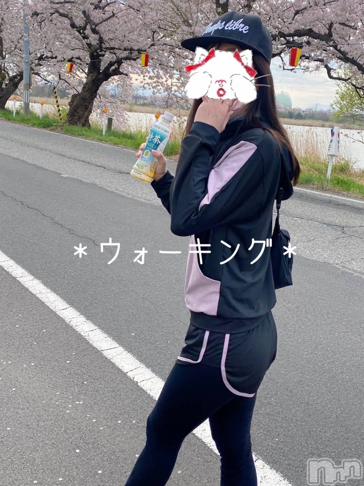 新潟人妻デリヘルLOVE AFFAIR～秘密のデート(ラブアフェア～ヒミツノデート) 美雪さん【♪♪♪】(35)の4月13日写メブログ「朝ウォーキング(*´◒`*)」