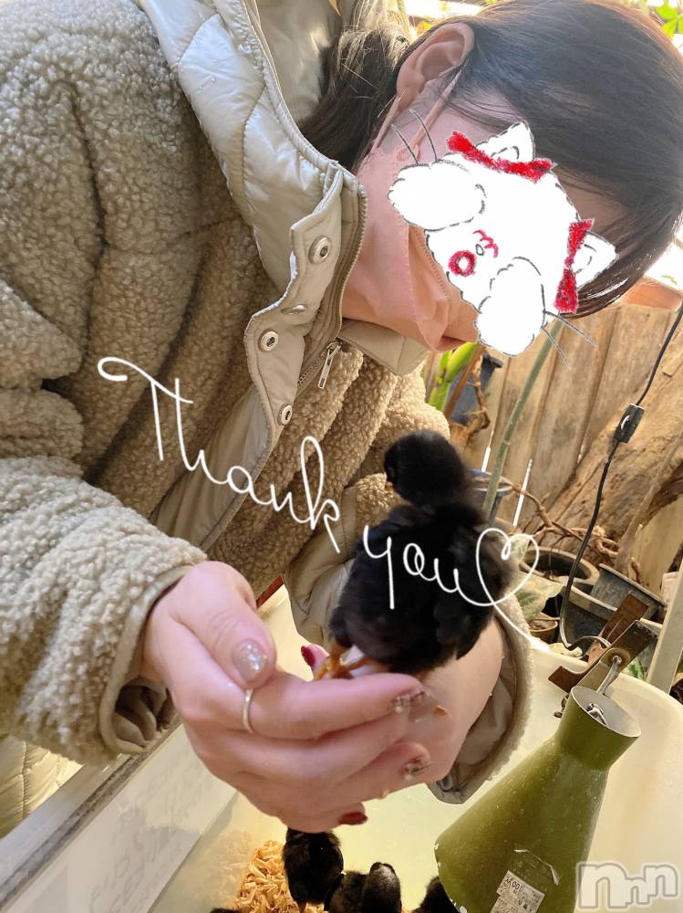 新潟人妻デリヘルLOVE AFFAIR～秘密のデート(ラブアフェア～ヒミツノデート) 美雪さん【♪♪♪】(35)の5月31日写メブログ「30日♡𓈒 𓏸𓈒𓂂𓂃♡」