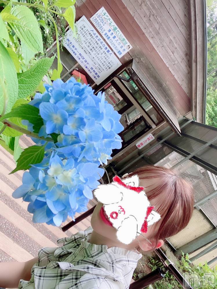 新潟人妻デリヘルLOVE AFFAIR～秘密のデート(ラブアフェア～ヒミツノデート) 美雪さん【♪♪♪】(35)の6月17日写メブログ「ナイトナビの担当さん⸜( ◜࿁◝ )⸝︎ ︎♡」