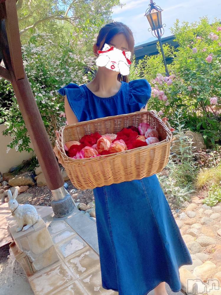 新潟人妻デリヘルLOVE AFFAIR～秘密のデート(ラブアフェア～ヒミツノデート) 美雪さん【♪♪♪】(35)の6月24日写メブログ「コメントのお返事♡𓈒 𓏸𓈒𓂂𓂃♡」