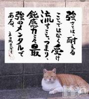 新潟デリヘル LOVE AFFAIR～秘密のデート(ラブアフェア～ヒミツノデート) 美雪さん【♪♪♪】(35)の写メブログ「」