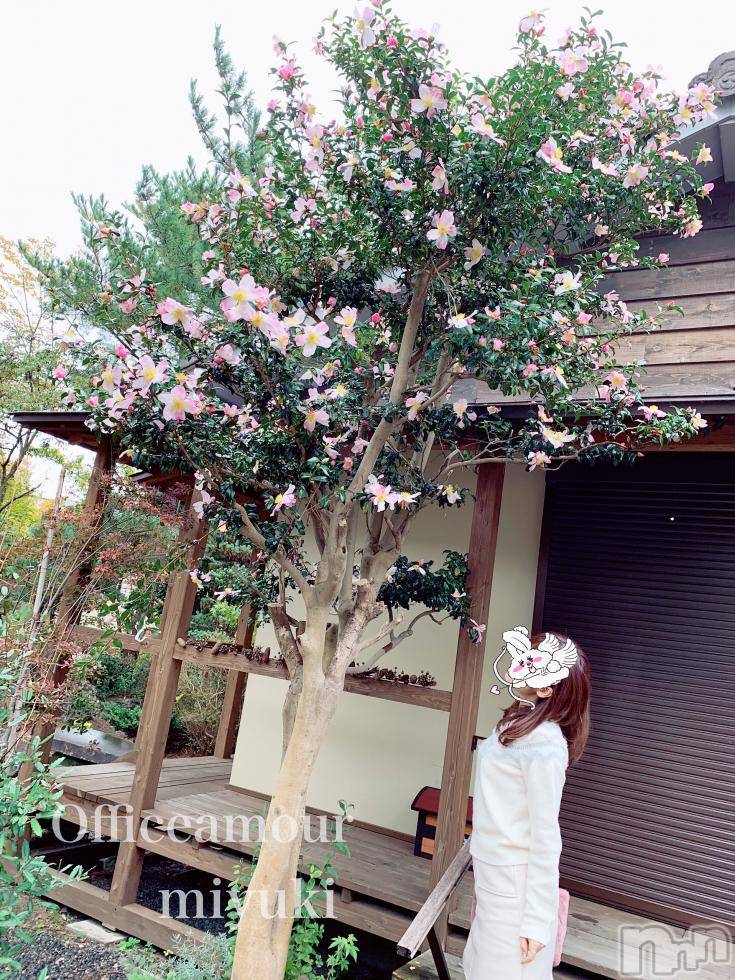 新潟人妻デリヘルLOVE AFFAIR～秘密のデート(ラブアフェア～ヒミツノデート)美雪さん【♪♪♪】(35)の2018年11月6日写メブログ「ありがとうございましたヾ(o´▽`o)ﾉ ♡* . ゜」