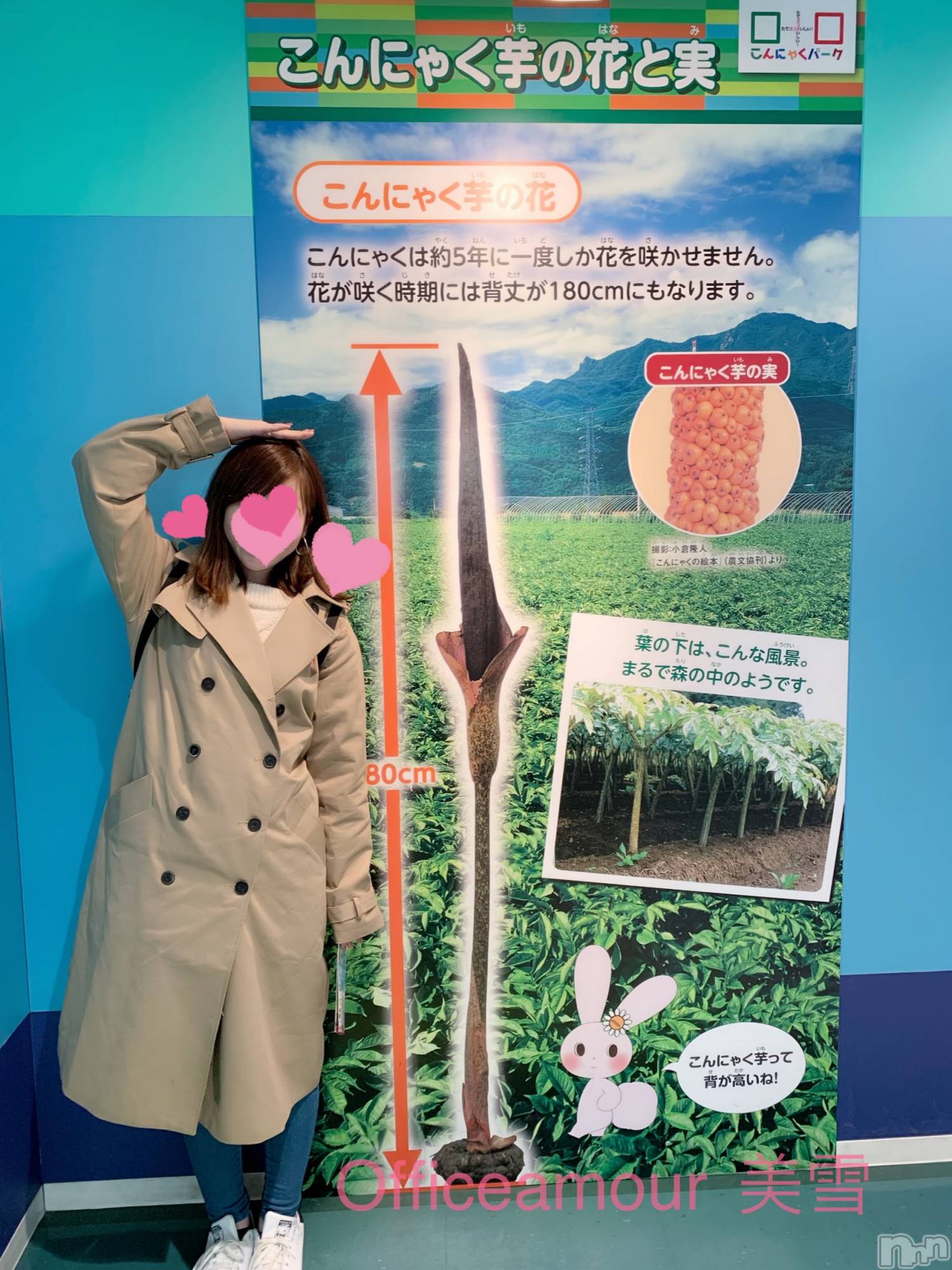 新潟人妻デリヘルLOVE AFFAIR～秘密のデート(ラブアフェア～ヒミツノデート)美雪さん【♪♪♪】(35)の2019年3月22日写メブログ「予想外の晴れ(*ˊᵕˋ*)♡」