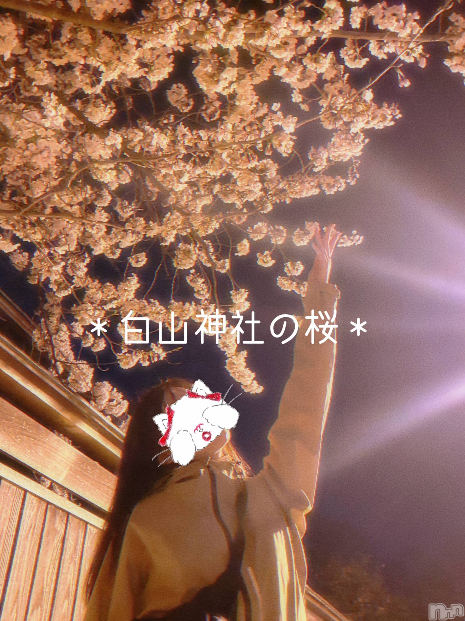 新潟人妻デリヘルLOVE AFFAIR～秘密のデート(ラブアフェア～ヒミツノデート)美雪さん【♪♪♪】(35)の2022年4月9日写メブログ「今年初めて桜見たよ～‎(◍˃ ᵕ ˂◍)♡𓈒 𓏸𓈒𓂂𓂃♡」
