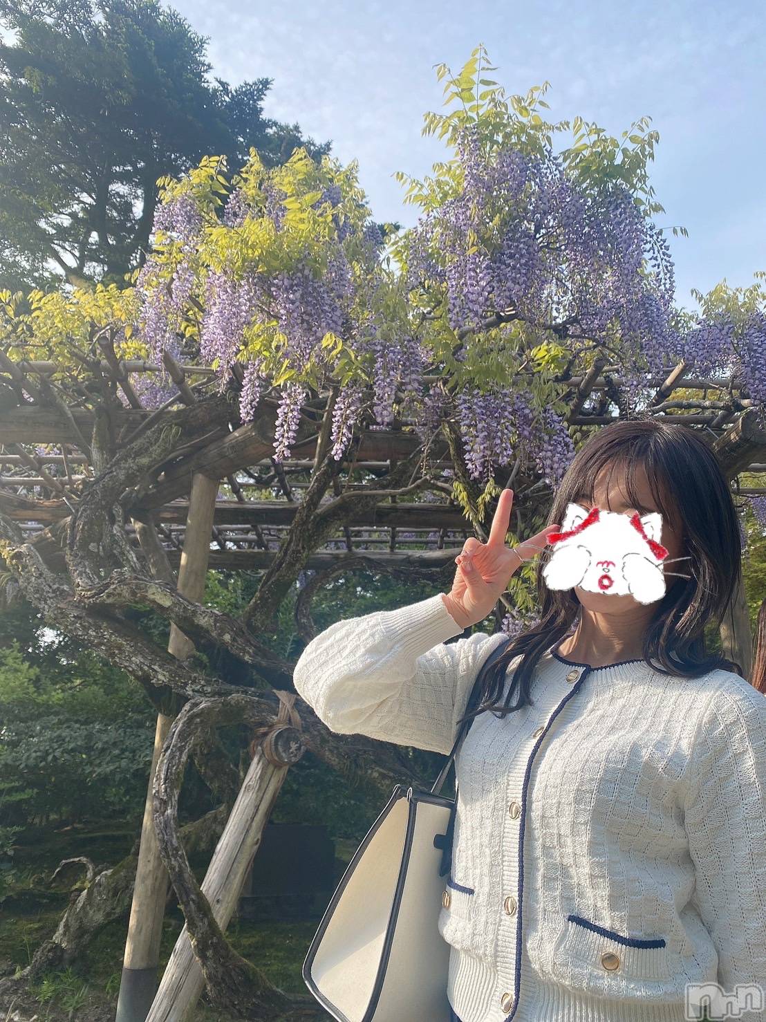 新潟人妻デリヘルLOVE AFFAIR～秘密のデート(ラブアフェア～ヒミツノデート)美雪さん【♪♪♪】(35)の2023年4月24日写メブログ「ただいまんぼりあ～～ん（∩⸝⸝> <⸝⸝∩）💓」