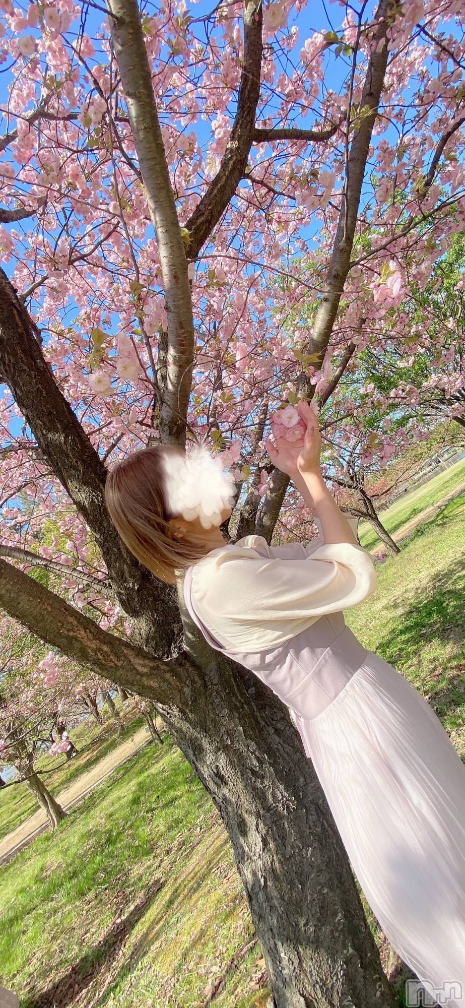 新潟人妻デリヘルLOVE AFFAIR～秘密のデート(ラブアフェア～ヒミツノデート)美雪さん【♪♪♪】(35)の2023年5月1日写メブログ「㊗️❣️４月✨全枠完売❤️‍🔥でした(  *´ω`*  )/🎉🎉🎉🎉･:*:･｡」