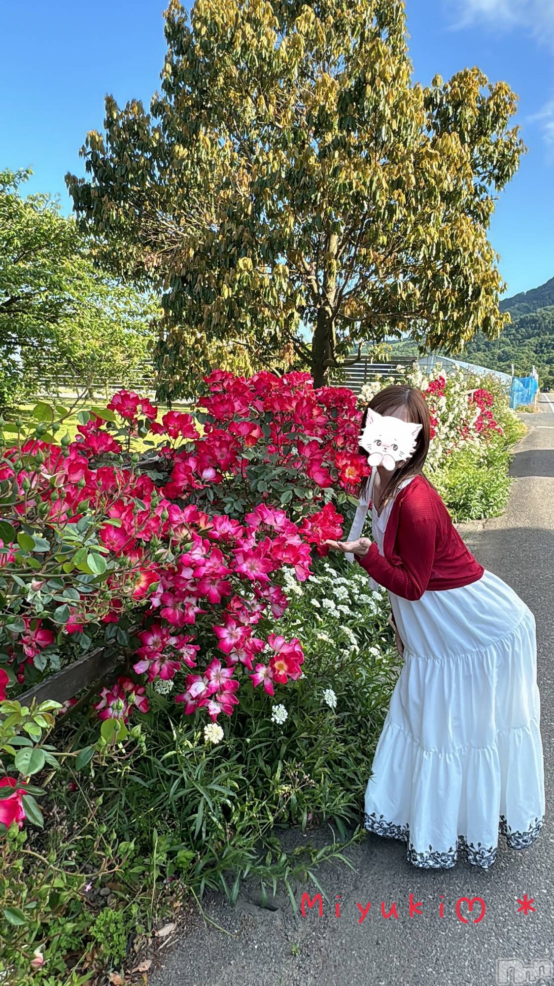 新潟人妻デリヘルLOVE AFFAIR～秘密のデート(ラブアフェア～ヒミツノデート)美雪さん【♪♪♪】(35)の2024年7月10日写メブログ「妊婦さん」