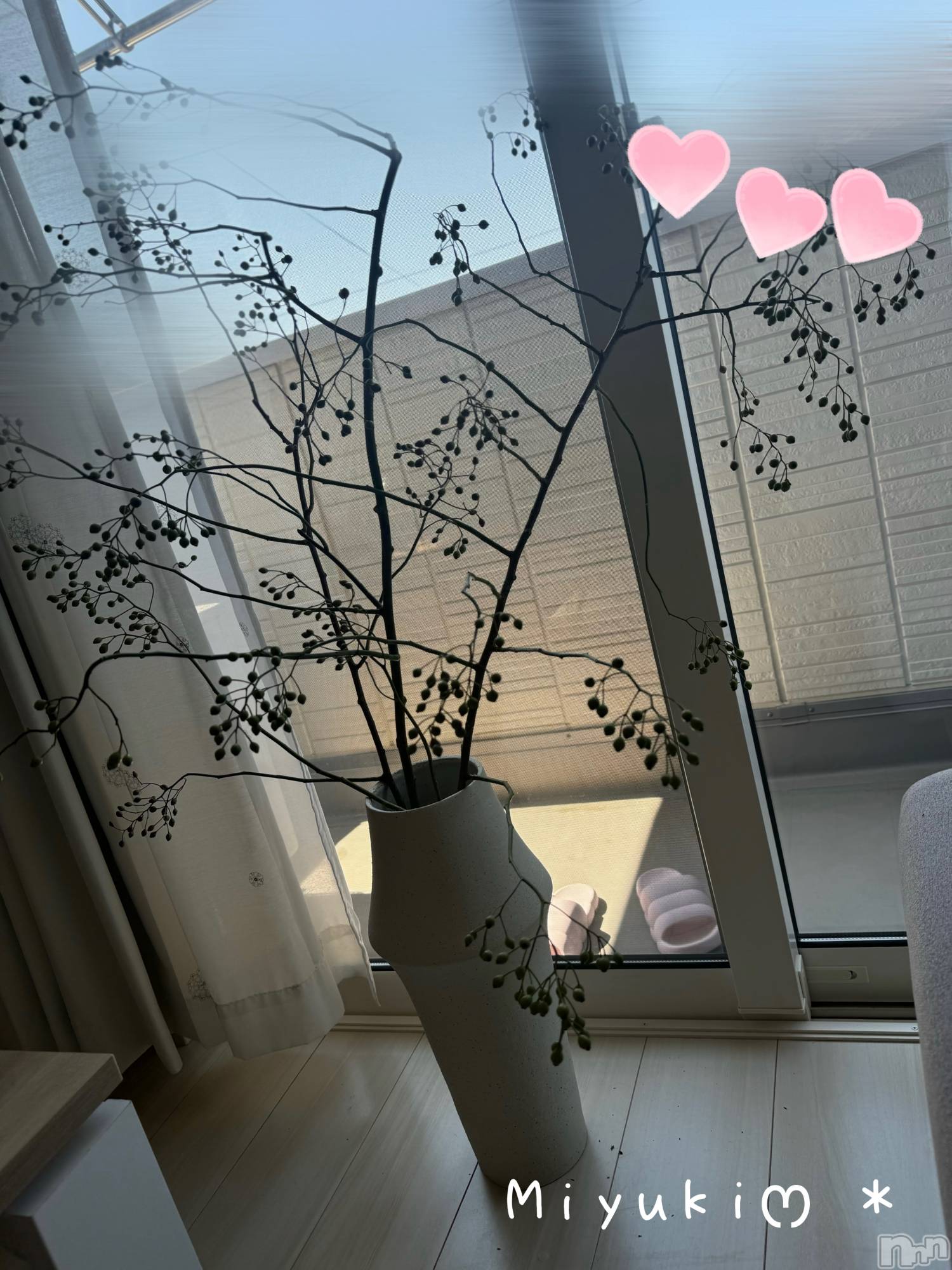 新潟人妻デリヘルLOVE AFFAIR～秘密のデート(ラブアフェア～ヒミツノデート)美雪さん【♪♪♪】(35)の2024年9月10日写メブログ「新しい枝‎ܾ ܾ 𖥧𓇣𖦥𖥧𖥣」