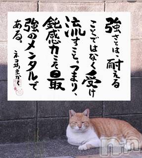 新潟デリヘルLOVE AFFAIR～秘密のデート(ラブアフェア～ヒミツノデート)美雪さん【♪♪♪】(35)の2025年12月13日写メブログ「お礼ブログの途中ですが…」