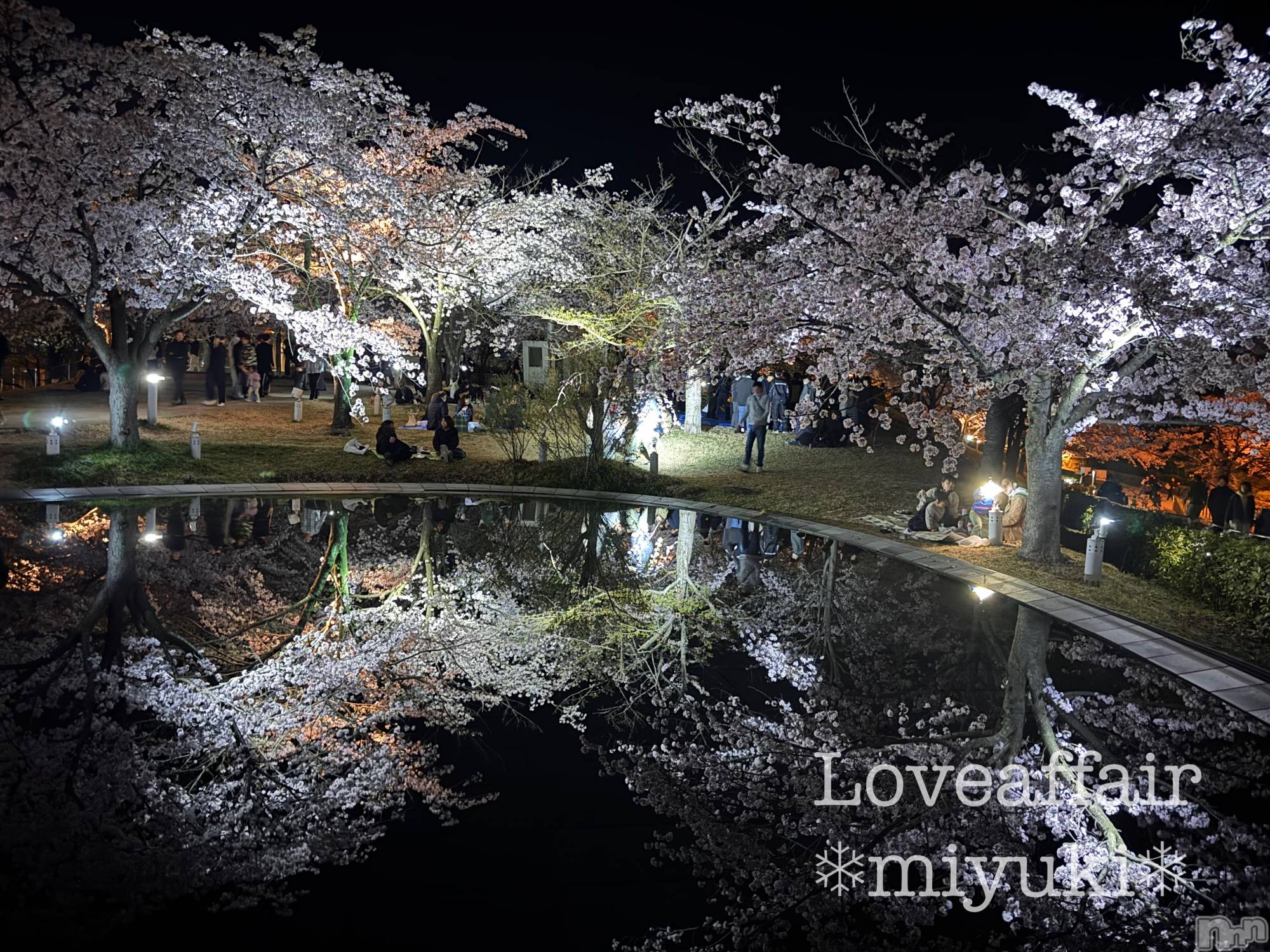 新潟デリヘルLOVE AFFAIR～秘密のデート(ラブアフェア～ヒミツノデート)美雪さん【♪♪♪】(35)の2026年4月9日写メブログ「夜桜もいいねぇ～🌸☺️」